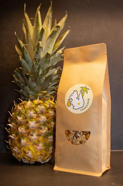 Granolini Tropical